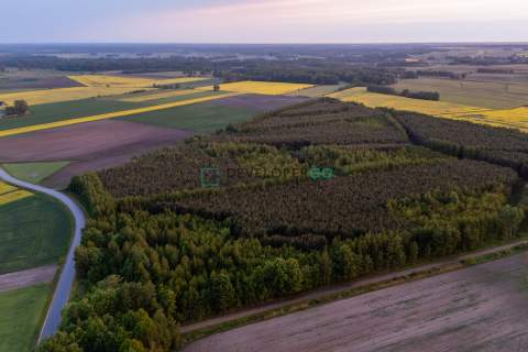 Las, działka leśna, 5,5 ha
