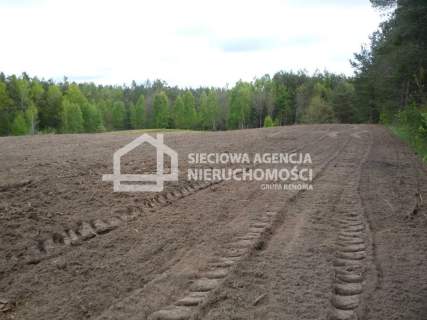 Działka rolna 5601 m2, Kobylasz / Linia