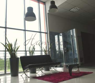 Na wynajem 300 m2, Augustówka, showroom