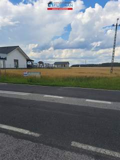 działka na sprzedaż w Sarbii gmina Czarnków