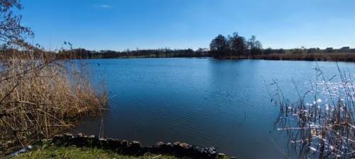 działka z linią brzegową