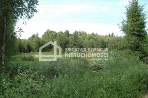 Urokliwa działka 2ha na Kaszubach - Bukowina 