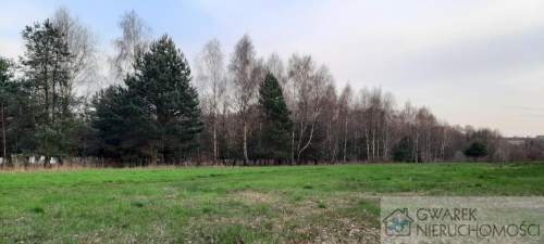 Działka 10 a pod lasem Toporowice gm. Mierzęcice