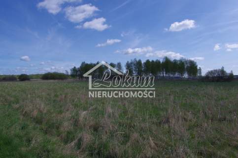 Duze działki w niskiej cenie - 50zł/m2