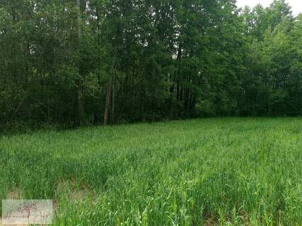 Działka budowlana na sprzedaż, 1500 m2, Dalików