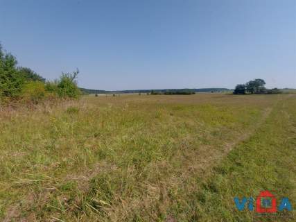 DZIAŁKA Z PRAWEM ZABUDOWY W DĄBROWEJ