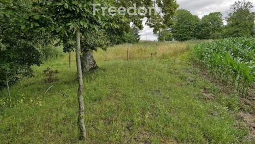 Działka 3 217 m   cisza i las w zasięgu