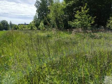 Na sprzedaż działka z potencjałem inwestycyjnym