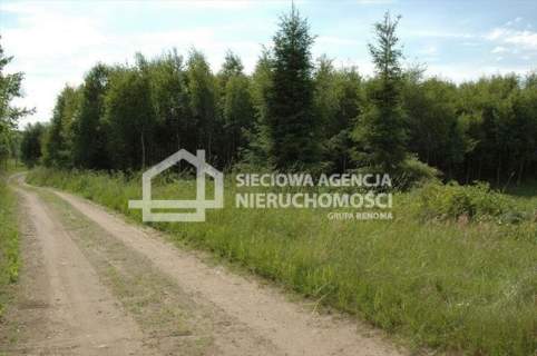 działka siedliskowa Bukowina