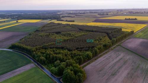 Las, działka leśna, 5,5 ha