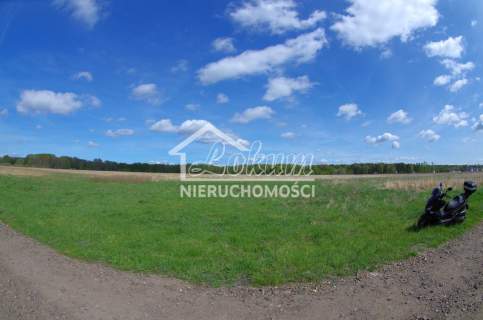 Duze działki w niskiej cenie - 50zł/m2