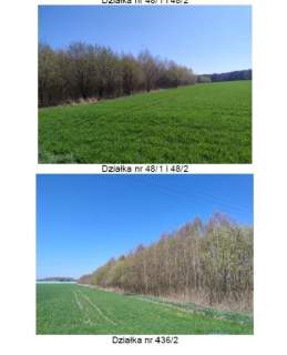 Działka rolna na sprzedaż, 23200 m2, Lubowidza
