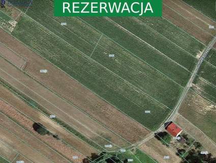 Działak przy ul. Spacerowej Super Cena