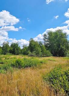 Działka budowlana Grabówka 1228m2