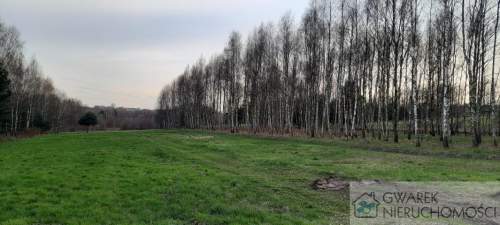 Działka 10 a pod lasem Toporowice gm. Mierzęcice