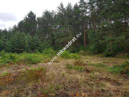 Okolice Grodziska Maz 1600m2 od mkwadrat.eu