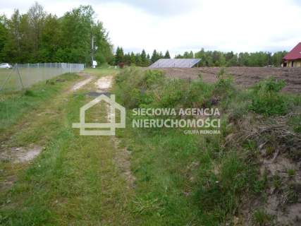 Działka rolna 5601 m2, Kobylasz / Linia