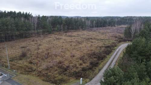 Działka przemysłowa 3Ha - pod mpzp Wola Paprotnia