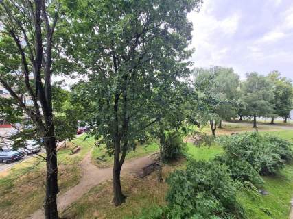 OKAZJA-Ok Sky Towera-Media Miejskie-Balkon-Piwnica