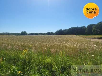 Działka budowlana na sprzedaż, 4000 m2, Goleniów