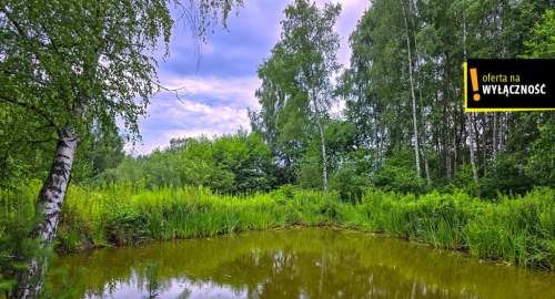 Działka ze stawem i lasem koło Solca Zdroju