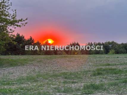 Porosły - działka budowlana/usługowa