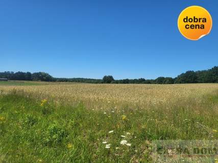 Działka budowlana na sprzedaż, 4000 m2, Goleniów