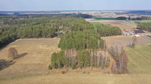 Klimatyczne siedlisko z własnym lasem