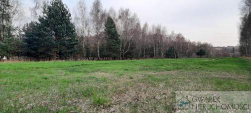 Działka 10 a pod lasem Toporowice gm. Mierzęcice