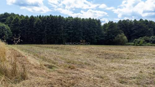 Nie przegap / Przy lesie / Budowlana z MPZP / 16ar
