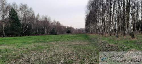 Działka 10 a pod lasem Toporowice gm. Mierzęcice