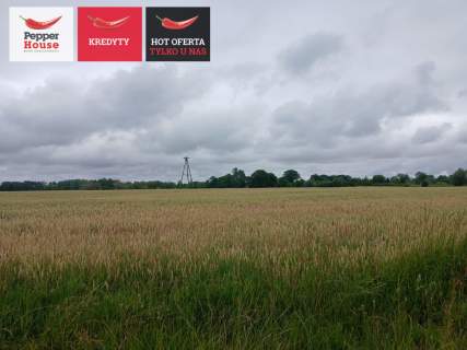 Atrakcyjna działka budowlana nad rzeką Szkarpawą