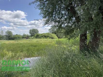 Dołuje, działka 3.100m2, 180.000,- zł