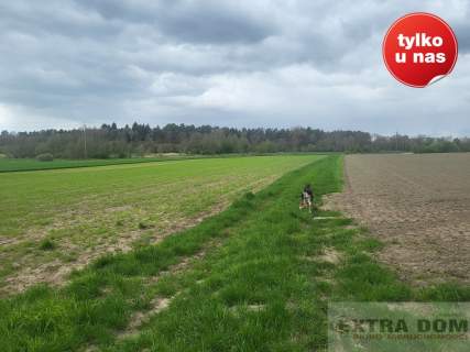 Działka rolna na sprzedaż, 20500 m2, Mokre
