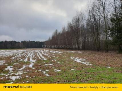 Działki na terenie lasów i zalesień w Wojnowie