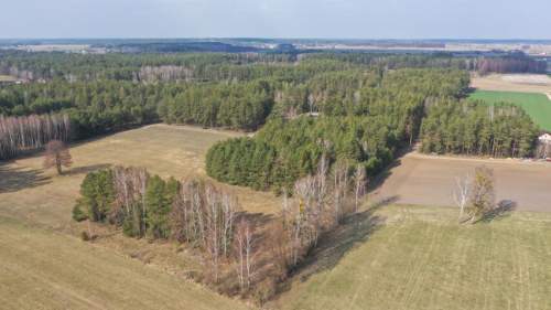 Klimatyczne siedlisko z własnym lasem