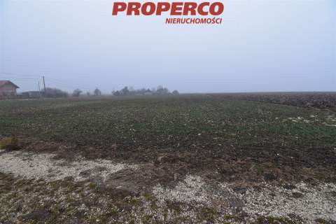 Działka 6200 m2, Potok Mały, gm. Jędrzejów