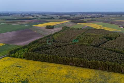 Las, działka leśna, 5,5 ha