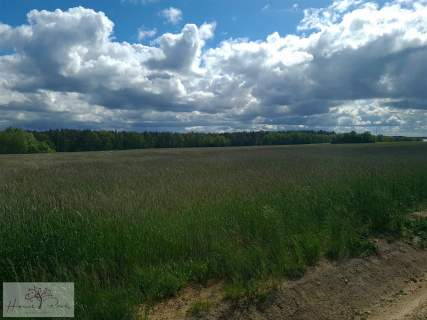 Działka rolna na sprzedaż, 1350 m2, Dalików