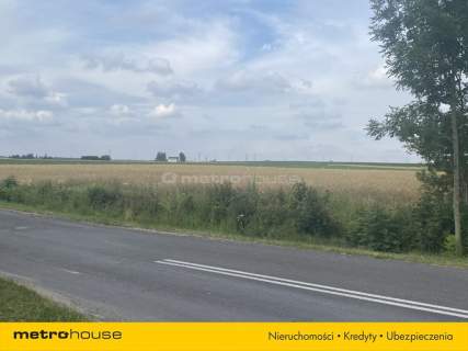 Sprzedaż - 2 ha działka ze zjazdem do DK nr 10
