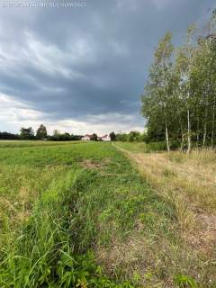 Wilanów, Powsin, MPZP, wolnostojąca