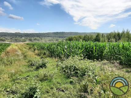 Działka 32-arowa pod budownictwo zagrodowe w gm. Zabierzów