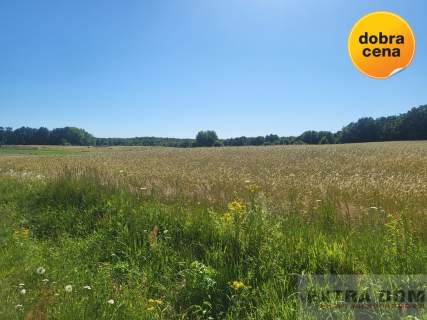 Działka budowlana na sprzedaż, 3000 m2, Kikorze