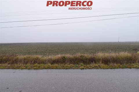 Działka 6200 m2, Potok Mały, gm. Jędrzejów