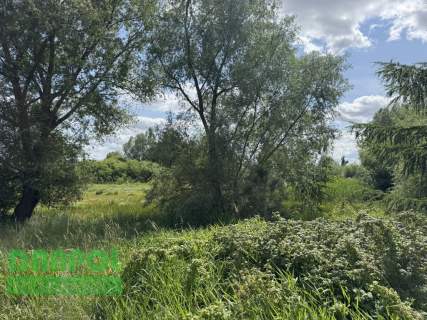 Dołuje, działka 3.100m2, 180.000,- zł