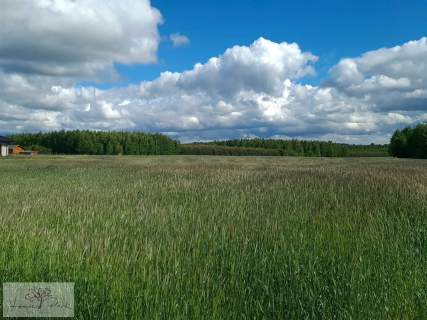 Działka rolna na sprzedaż, 1350 m2, Dalików