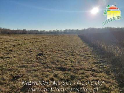 Działka budowlana na sprzedaż, 3000 m2, Aleksandria