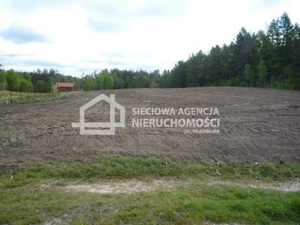 Działka rolna 5601 m2, Kobylasz / Linia