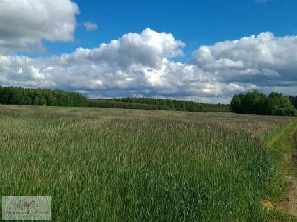 Działka rolna na sprzedaż, 1370 m2, Dalików