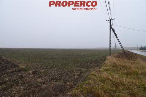 Działka 6200 m2, Potok Mały, gm. Jędrzejów